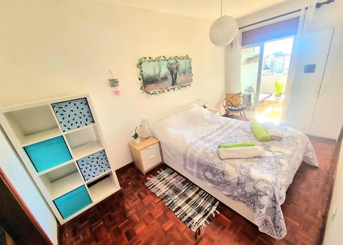 Stunning Room With Private Bathroom And Shared Balcony, Mainly With 3 Adorable Cats!