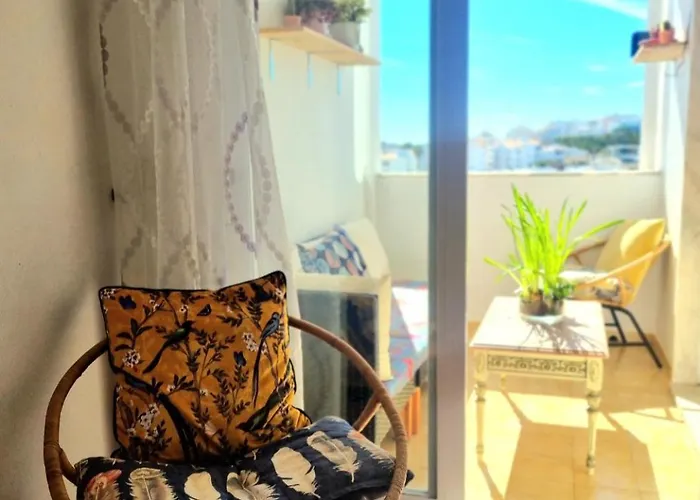 Stunning Room With Private Bathroom And Shared Balcony, Mainly With 3 Adorable Cats!