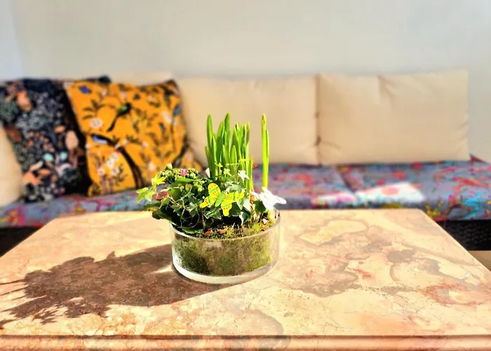 Stunning Room With Private Bathroom And Shared Balcony, Mainly With 3 Adorable Cats!