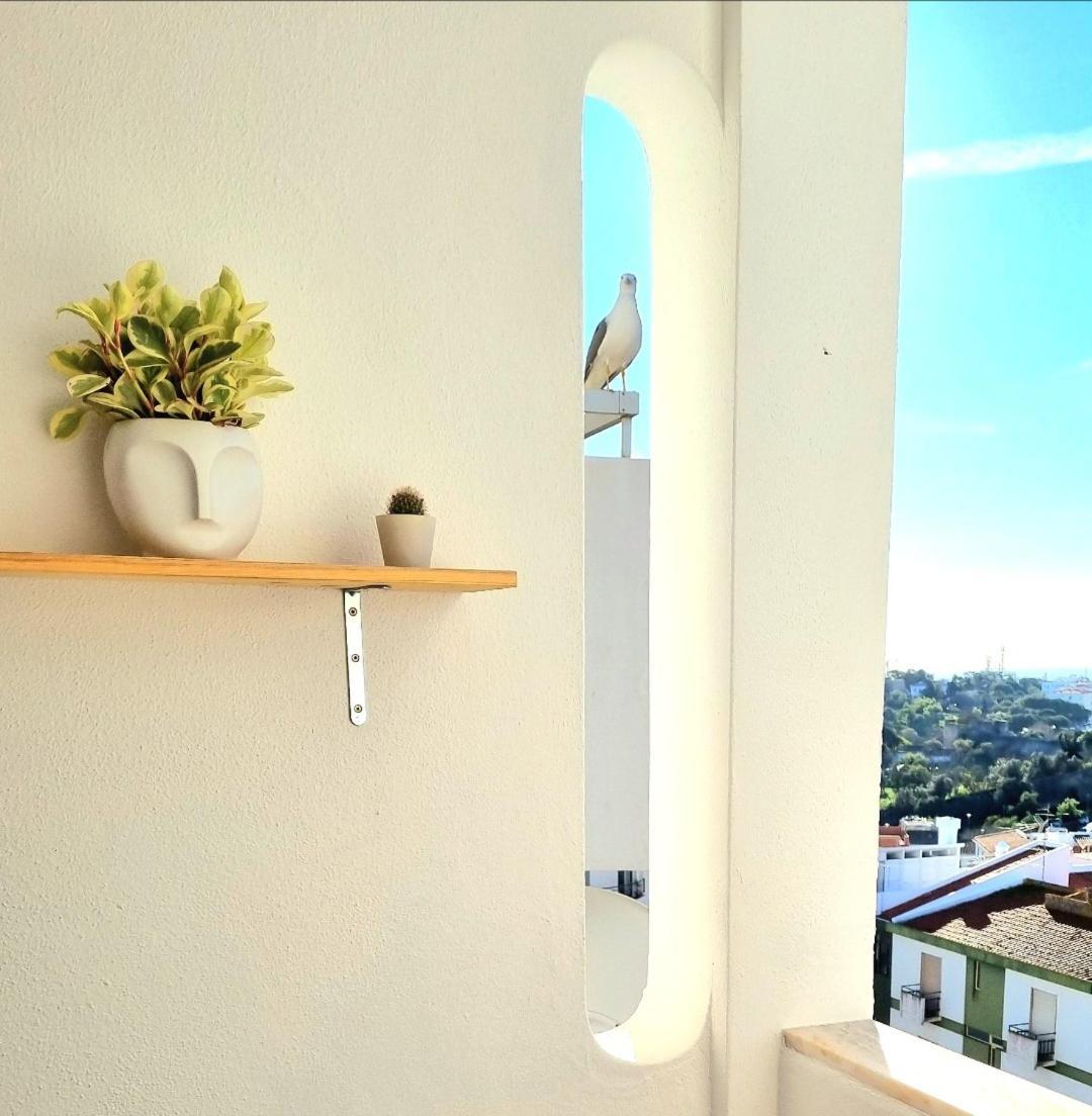 Stunning With Private Bathroom And Shared Balcony, Mainly With 3 Adorable Cats!