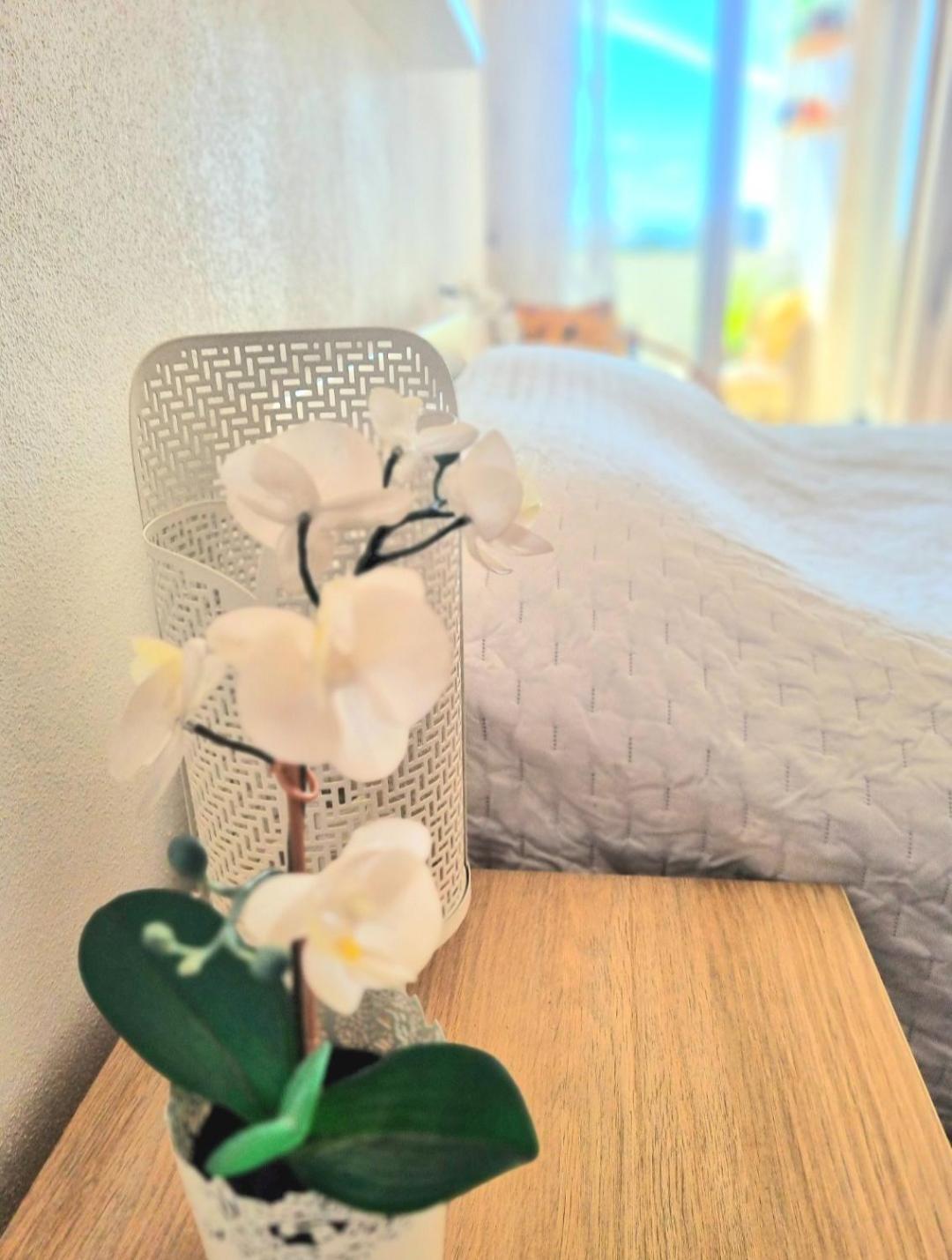 Stunning With Private Bathroom And Shared Balcony, Mainly With 3 Adorable Cats! Homestay *
