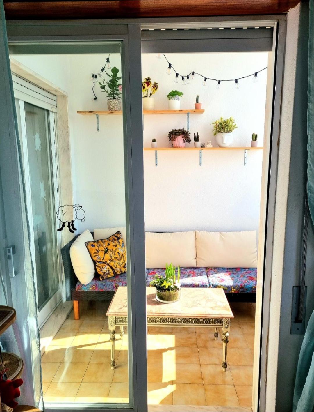 Stunning With Private Bathroom And Shared Balcony, Mainly With 3 Adorable Cats! * Lagos